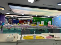 -海豚啵啵体智能游泳馆(惠山万达广场店)