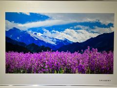 -南湖市民广场-乌鲁木齐美术馆