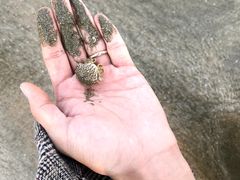 -嵊泗基湖沙滩