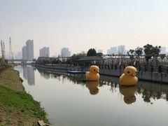-菊园百果园