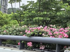 -张师傅烧烤(CBD店)