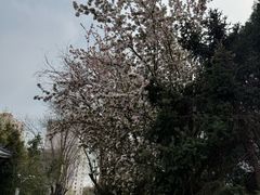 -丰台科技园生态主题公园