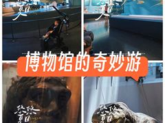 -天津自然博物馆