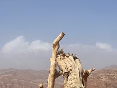 -新疆天山托木尔景区·大峡谷