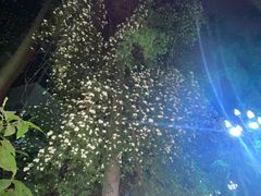 -四川大学(望江校区)