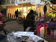 -Fern Forest Cafe