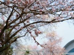 -吉林大学(南岭校区)