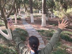 -桐乡植物园