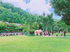 -野象谷景区