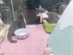 -巴黎春天(浦建店)