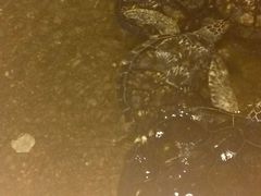 -洛阳龙门海洋馆