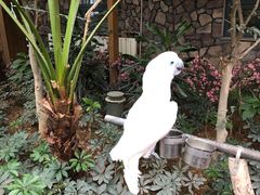 -南宫五洲植物乐园