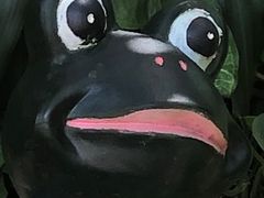-青青世界