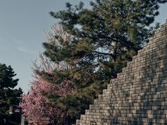-秦始皇帝陵博物院-丽山园