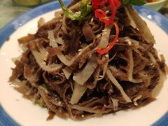 -正阳春烤鸭(华捷道店)