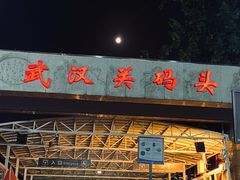 -武汉关码头(轮渡站)