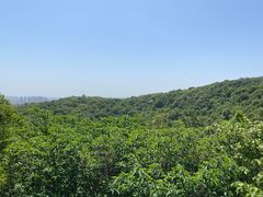 -南山风景名胜区