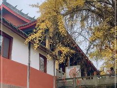 -金堂县云顶石城风景区