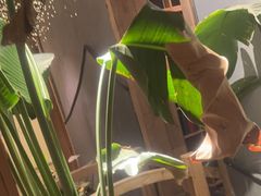 -邈墨茶馆(凤起路店)