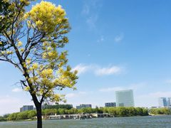 -大兴滨河森林公园