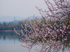 -颐和园