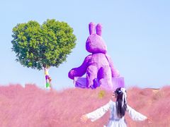 -阳澄湖半岛旅游度假区