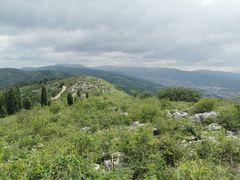 -长虫山生态公园风景林