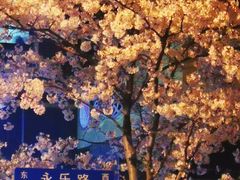 -永乐路-路侧停车场