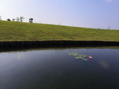 -春花秋色城市公园