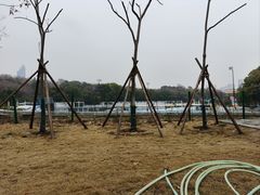 -月湖风景区