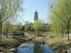 景点-舍利塔滩地公园-无垢净光舍利塔