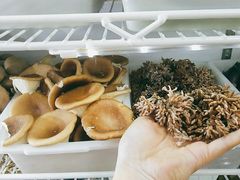 -畲乡一品鱼府土菜馆