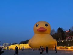 -汉江公园