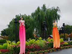 -荷兰花海