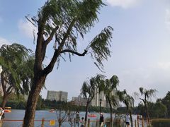-黄兴公园