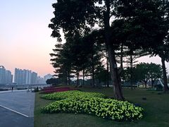 -二沙岛艺术公园