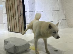 -重庆欢乐海底世界