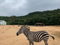 -杭州野生动物世界