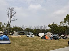 -新江湾城公园