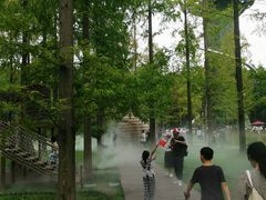 -黄海国家森林公园