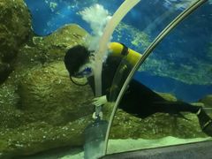 -大连圣亚海洋世界