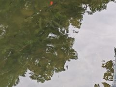 -兰溪青年公园