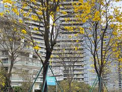 -洲头咀公园