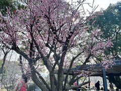 -无锡梅园公园