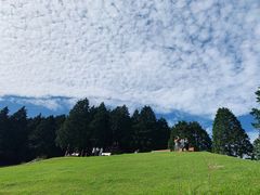 -神户市立六甲山牧场