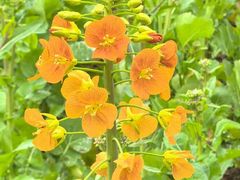 -中国天府农业博览园