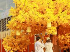 -龙湖杭州滨江天街