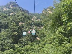 -王顺山国家森林公园