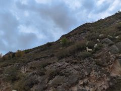 -蔚县茶山村