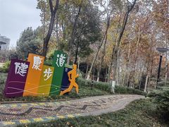 -重庆彩云湖湿地公园